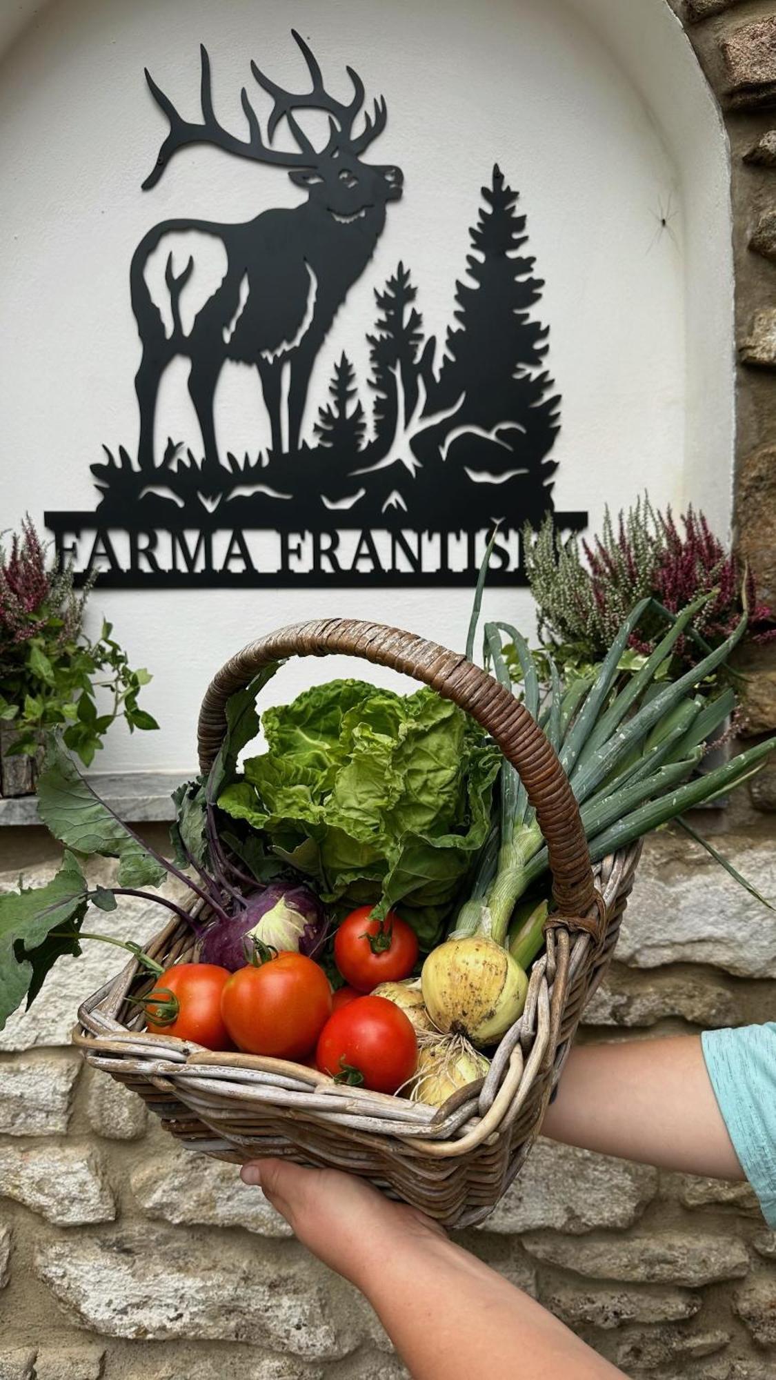 فندق Farma Frantisek Stachy المظهر الخارجي الصورة